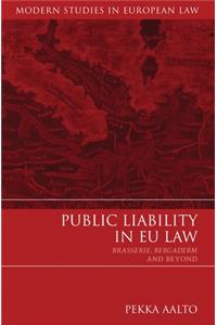 Public Liability in EU Law