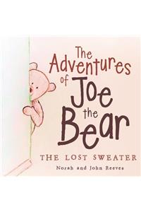 Adventures of Joe the Bear