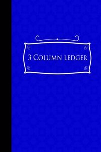 3 Column Ledger