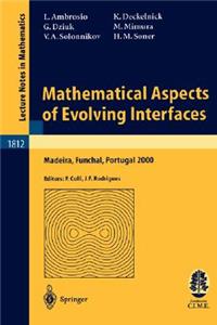 Mathematical Aspects of Evolving Interfaces