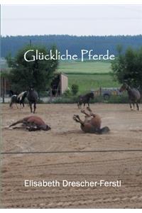 Glückliche Pferde