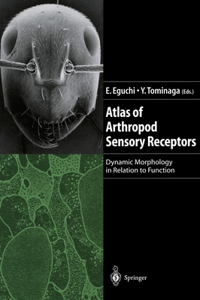 Atlas of Arthropod Sensory Receptors