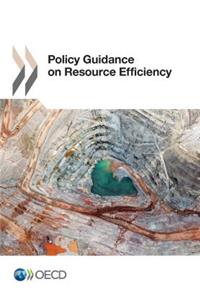 Policy Guidance on Resource Efficiency
