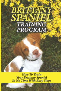 Brittany Spaniel Training Program