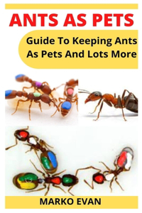 Ants as Pets