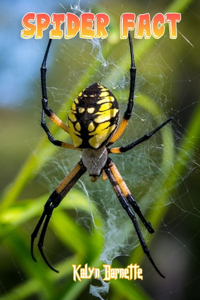 Spider Fact