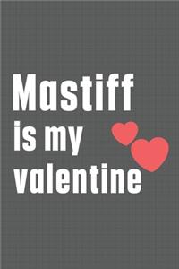 Mastiff is my valentine