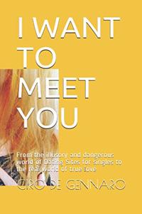 I Want to Meet You