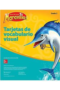 Lectura Maravillas, Grade 2, Visual Vocabulary Cards