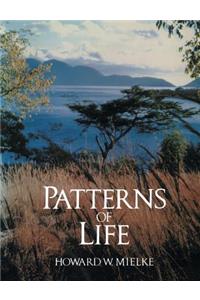 Patterns of Life