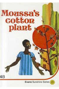 Moussa's Cotton Plant