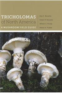 Tricholomas of North America
