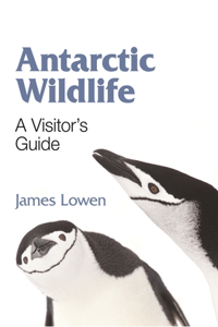 Antarctic Wildlife