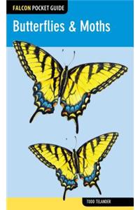 Butterflies & Moths