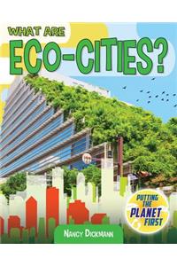 What Are Eco-Cities?