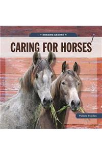 Caring for Horses