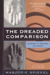The Dreaded Comparison