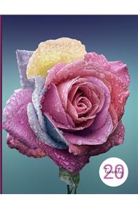 2020 Weekly Planner - Dot Grid - Pastel Rose