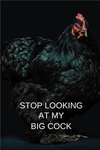 Stop Looking at My Big Cock