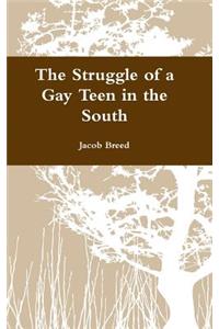 Struggle of a Gay Teen in the South