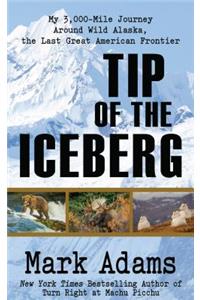 Tip of the Iceberg