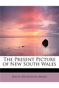 The Present Picture of New South Wales