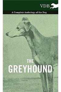 Greyhound - A Complete Anthology of the Dog