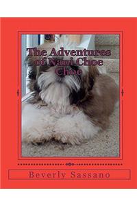 The Adventures of Nani Choe Choe