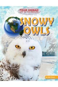 Snowy Owls