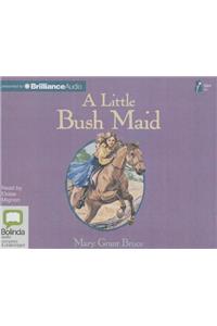 Little Bush Maid