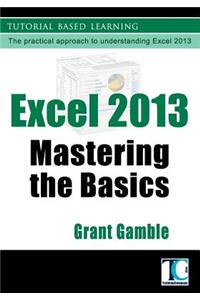 Excel 2013 Mastering the Basics