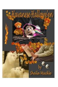 Havanese Hallowe'en