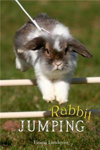 Rabbit Jumping