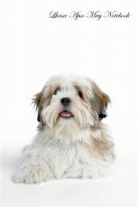 Lhasa Apso May Notebook Lhasa Apso Record, Log, Diary, Special Memories, To Do List, Academic Notepad, Scrapbook & More