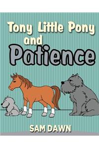 Tony Little Pony and Patience