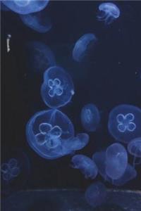 Caribbean Moon Jellyfish Journal