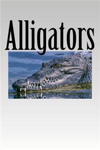 Alligators