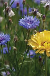 A Bright Yellow Marigold and Blue Cornflowers Gardening Journal