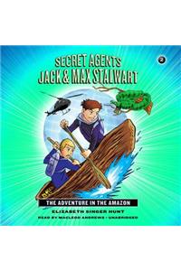 Secret Agents Jack and Max Stalwart