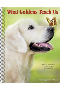 What Goldens Teach Us 2020 Engagement Calendar (Dog Breed Calendar)