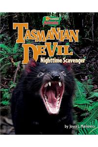 Tasmanian Devil