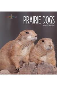 Prairie Dogs