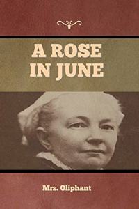 A Rose in June