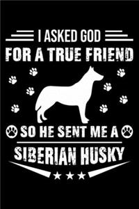 I Asked God For A True Friend So He Sent Me A Siberian Husky