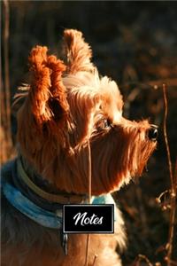 Yorkshire Terrier Dog Pup Puppy Doggie Notebook Bullet Journal Diary Composition Book Notepad - Observing Nature