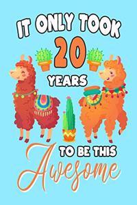 It only Took 20 Years To Be This Awesome