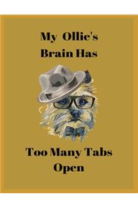 My Ollie's Brain Has Too Many Tabs Open