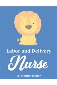 Labor and Delivery Nurse