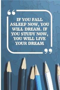 If You Fall Asleep Now, You Will Dream. If You Study Now, You Will Live Your Dream