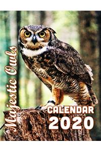 Majestic Owls Calendar 2020